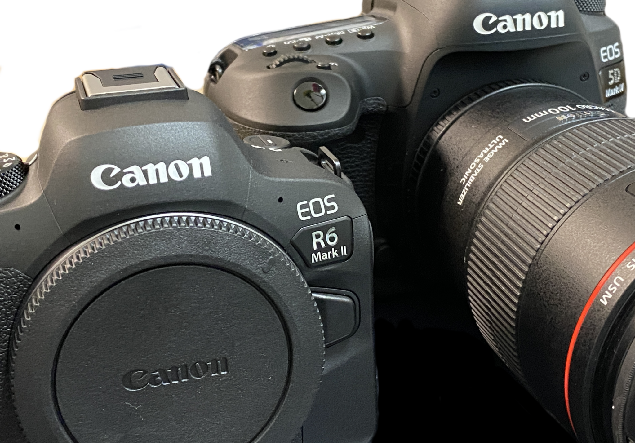 Eos R Sign EOS R8をEOS RP、EOS R6 MkII、EOS Rと比較してみた!!Larikanon